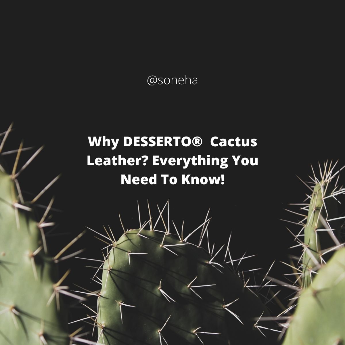 Why DESSERTO Cactus Leather? Everything You Need To Know!  Soneha