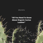 All You Need To Know About Organic Cactus Leather