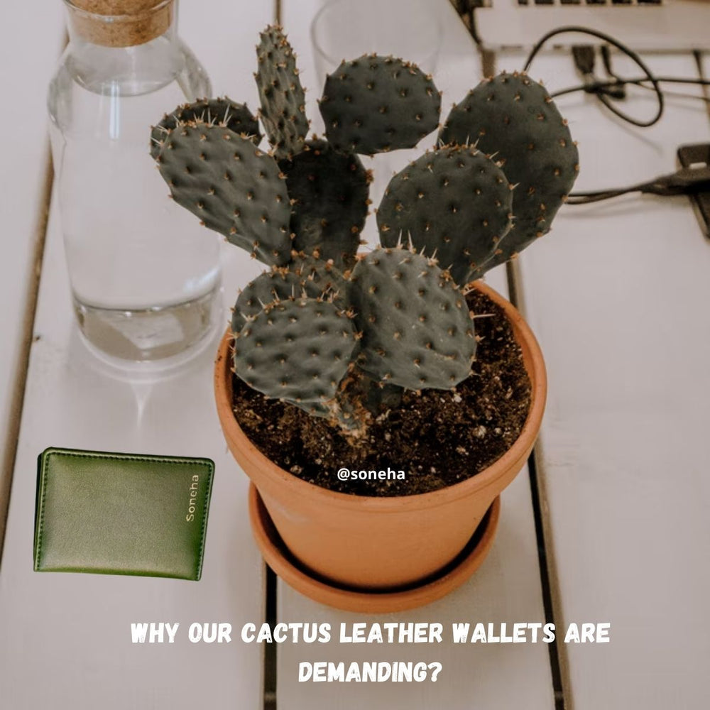 Why Our Cactus Leather Wallets Are Demanding?